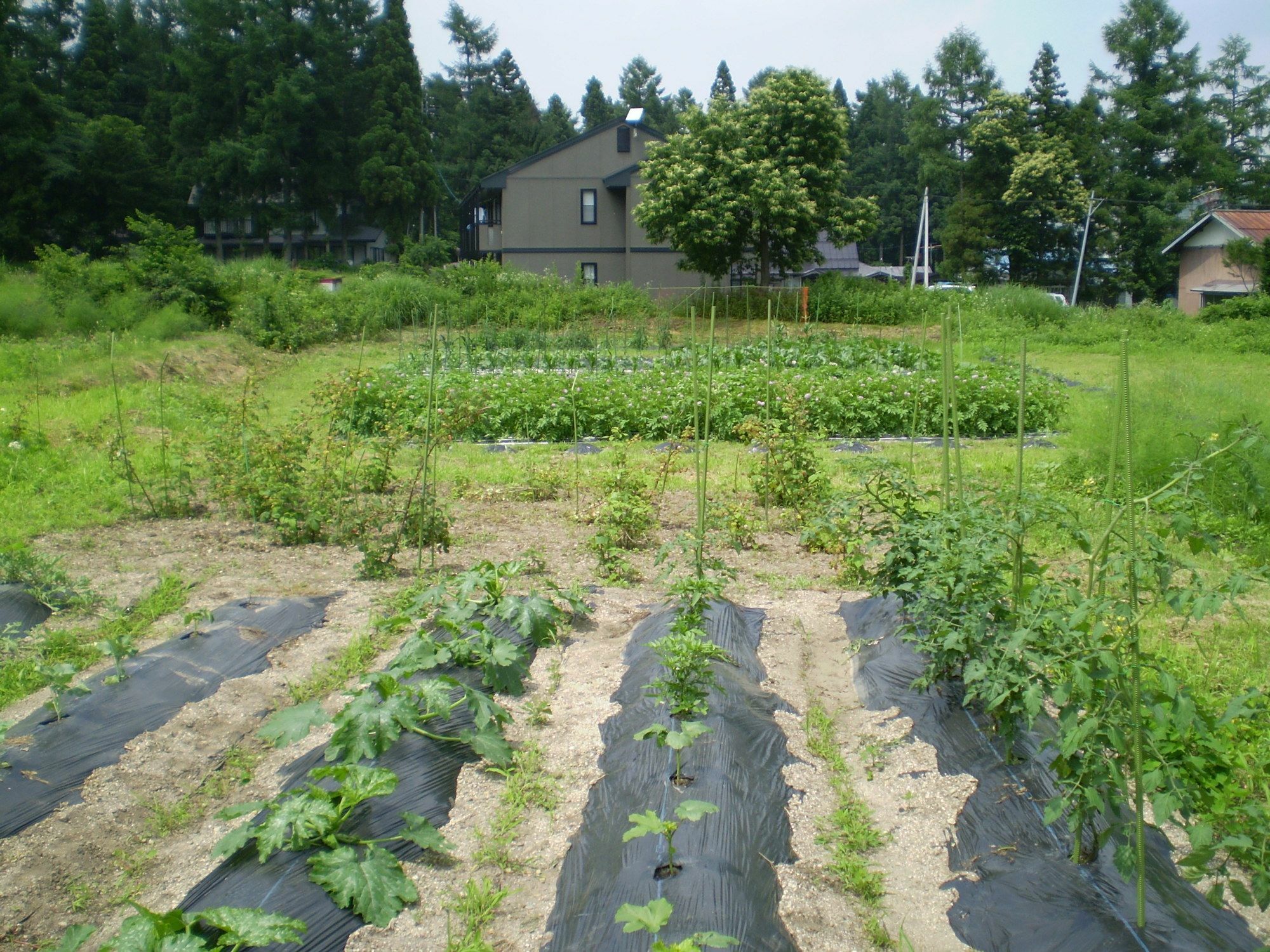 Bed and Breakfast ペンション ちゃうちゃう Hakuba Esterno foto
