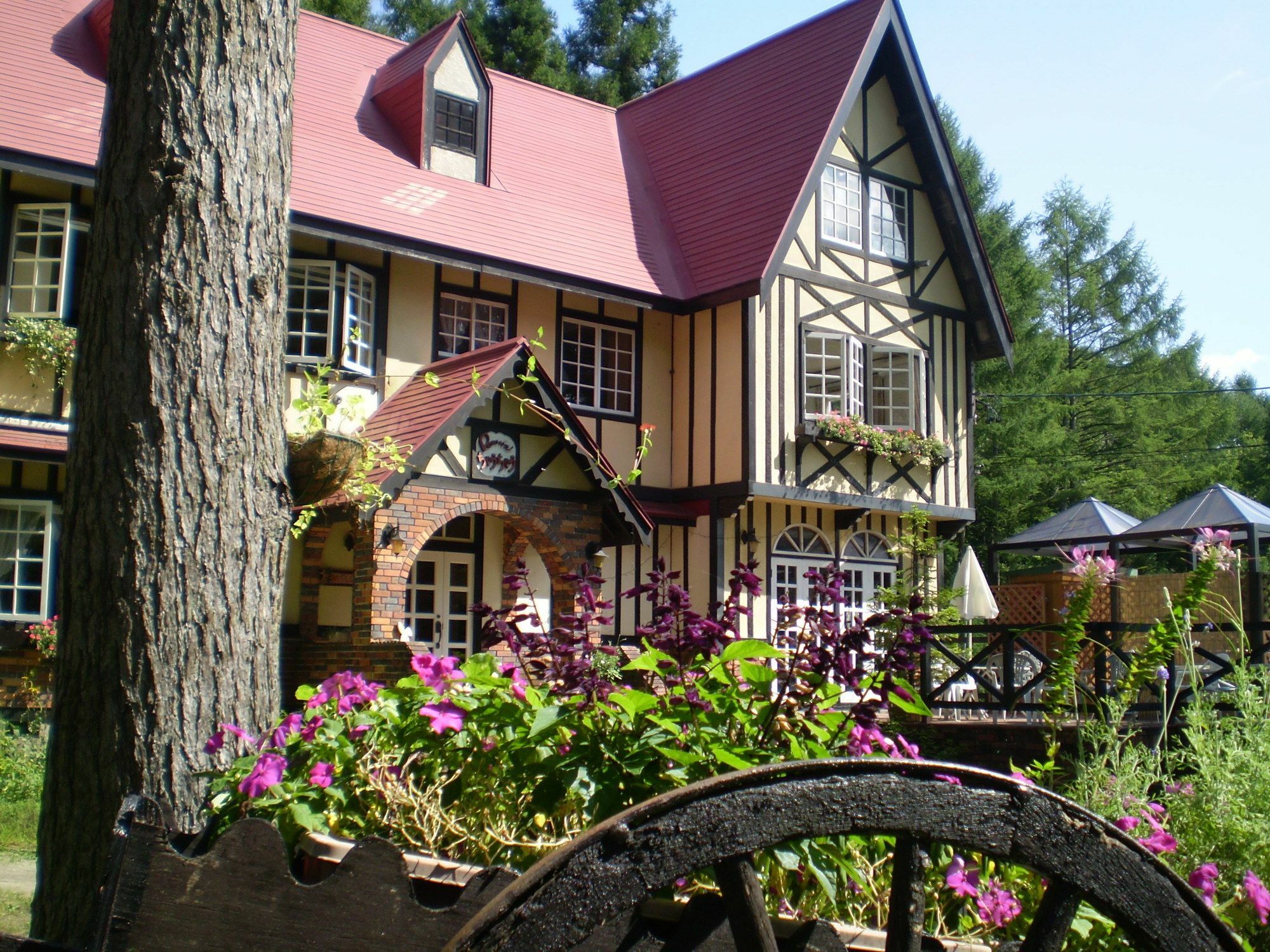 Bed and Breakfast ペンション ちゃうちゃう Hakuba Esterno foto